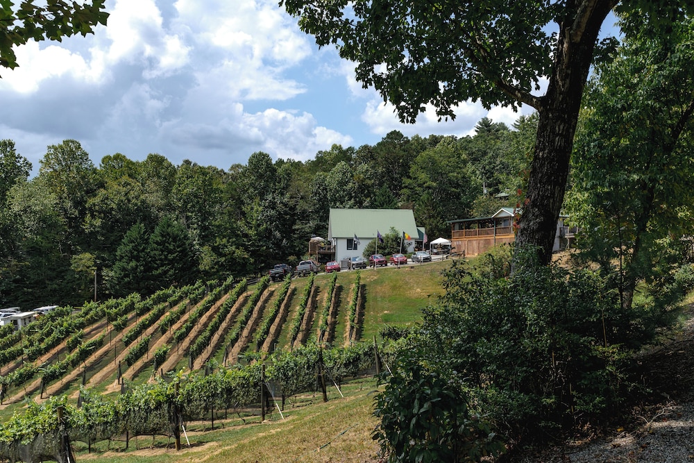 Paradise Hills Winery Resort & Spa - photo 296