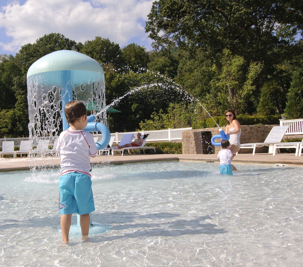 The Omni Homestead Resort & Spa - photo 51