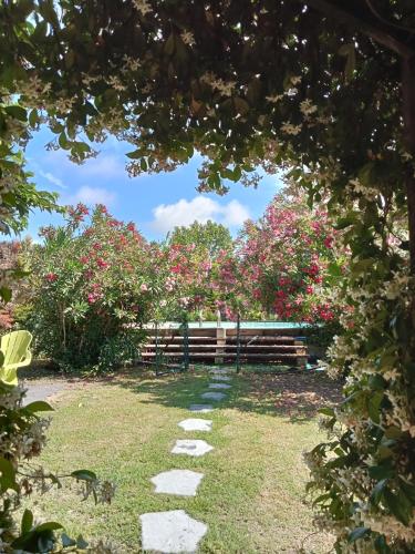 Cosy En Provence in Maillane, France