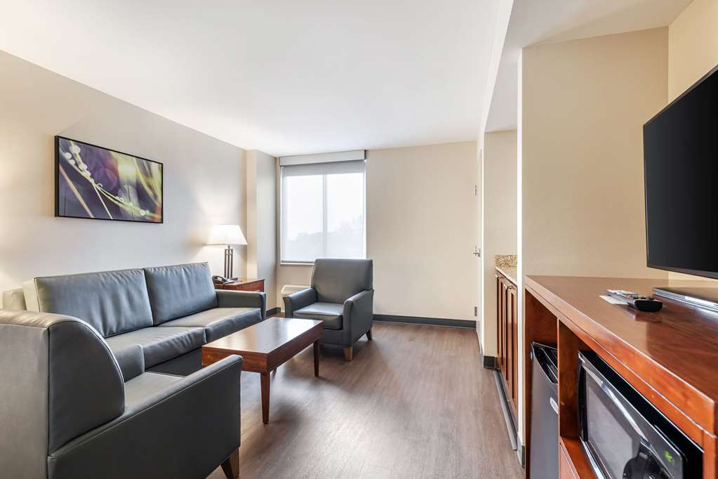 Comfort Inn Conference Center - photo 15
