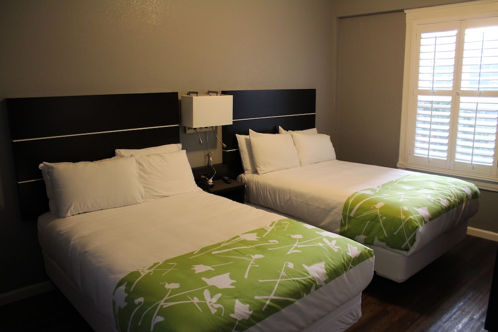 Layne Hotel - photo 12