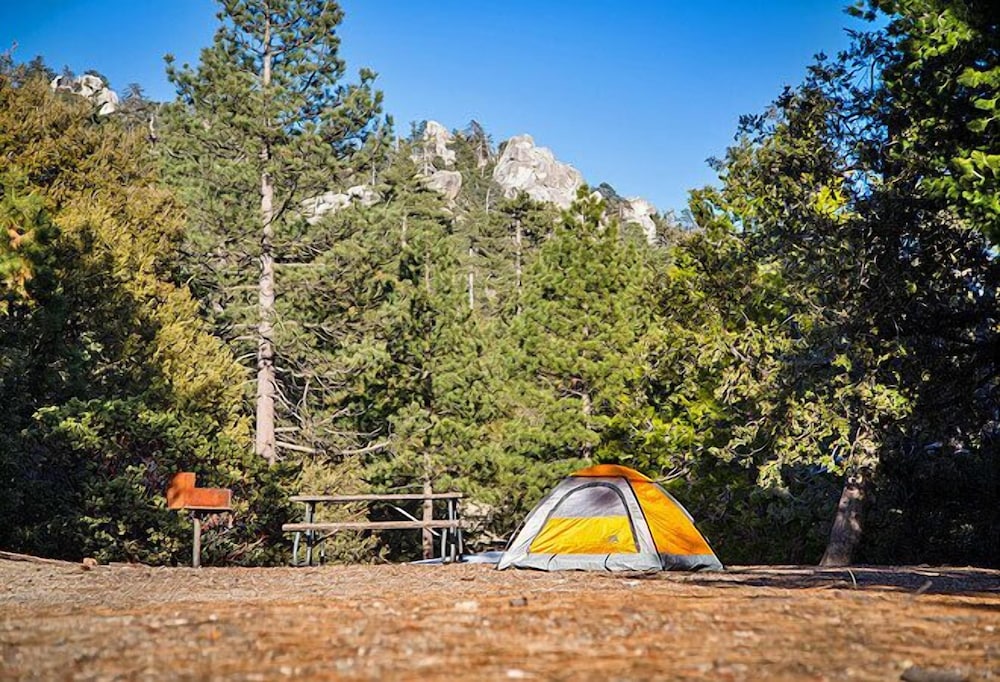 Idyllwild RV Resort Caravan Park - photo 20