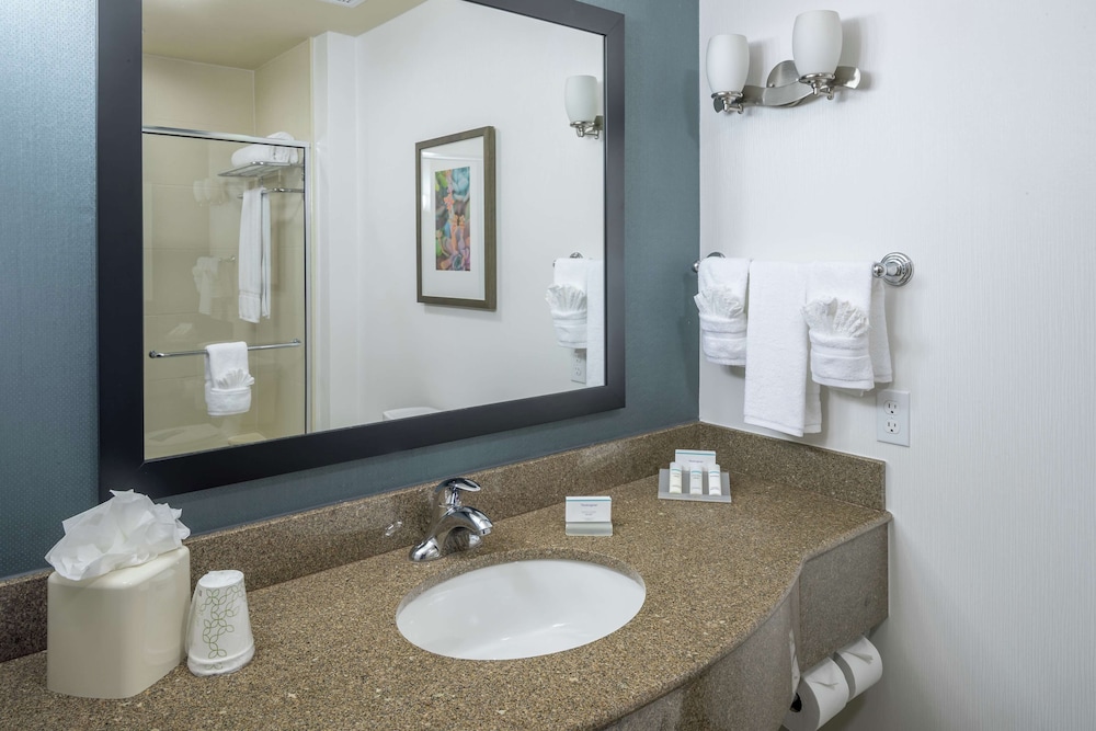 Hilton Garden Inn DFW North Grapevine - photo 25