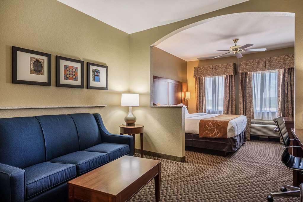 Comfort Suites Near Texas State University - photo 14