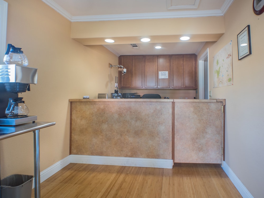 Shasta Pines Motel & Suites - photo 4