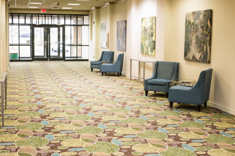 Holiday Inn & Suites Bolingbrook by IHG - photo 55