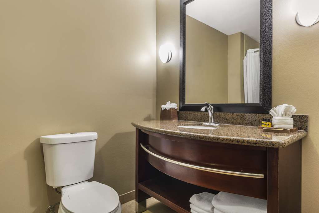 Best Western Plus Texoma Hotel & Suites - photo 23