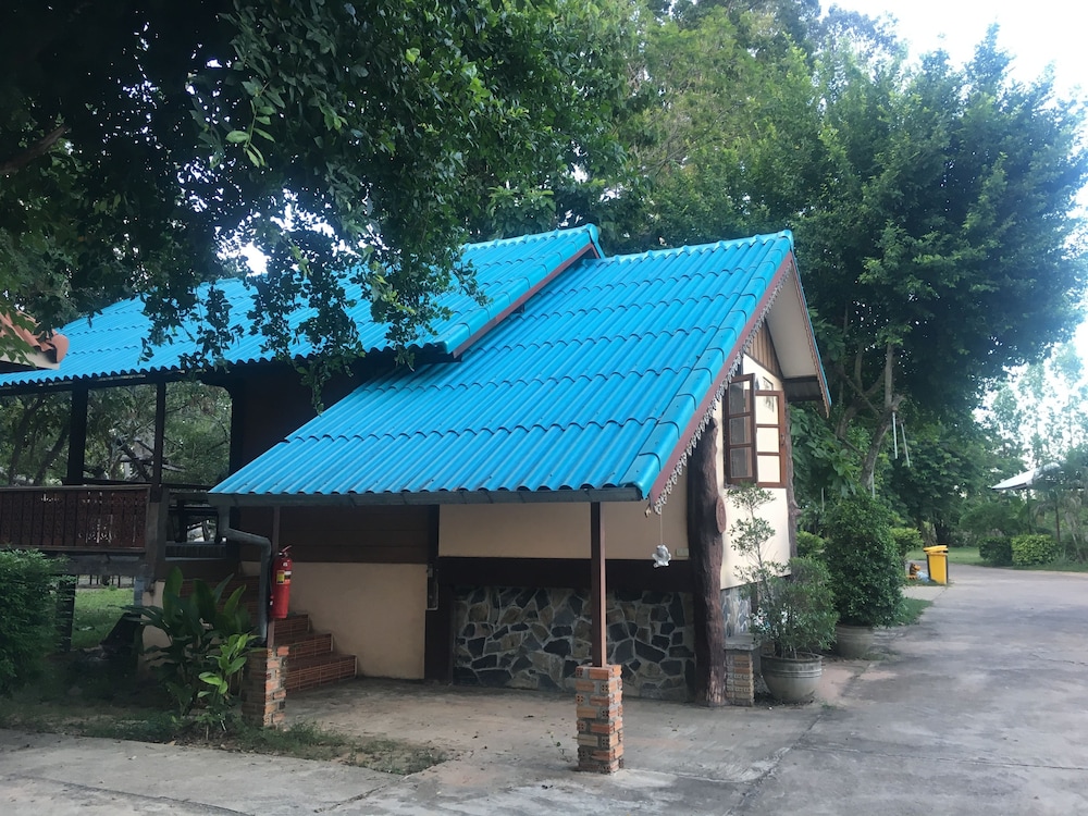 Forest — Roi Et — photo 4