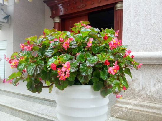 Panan lanfeng farm in Pan'an, People's Republic of China