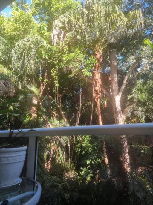 Your Coral Coast Resort Inn in Palm Cove, Australia