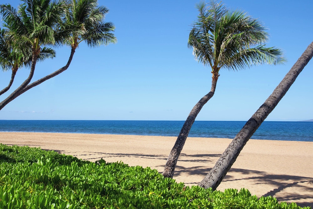 Marriott's Maui Ocean Club Lahaina & Napili Towers - photo 62