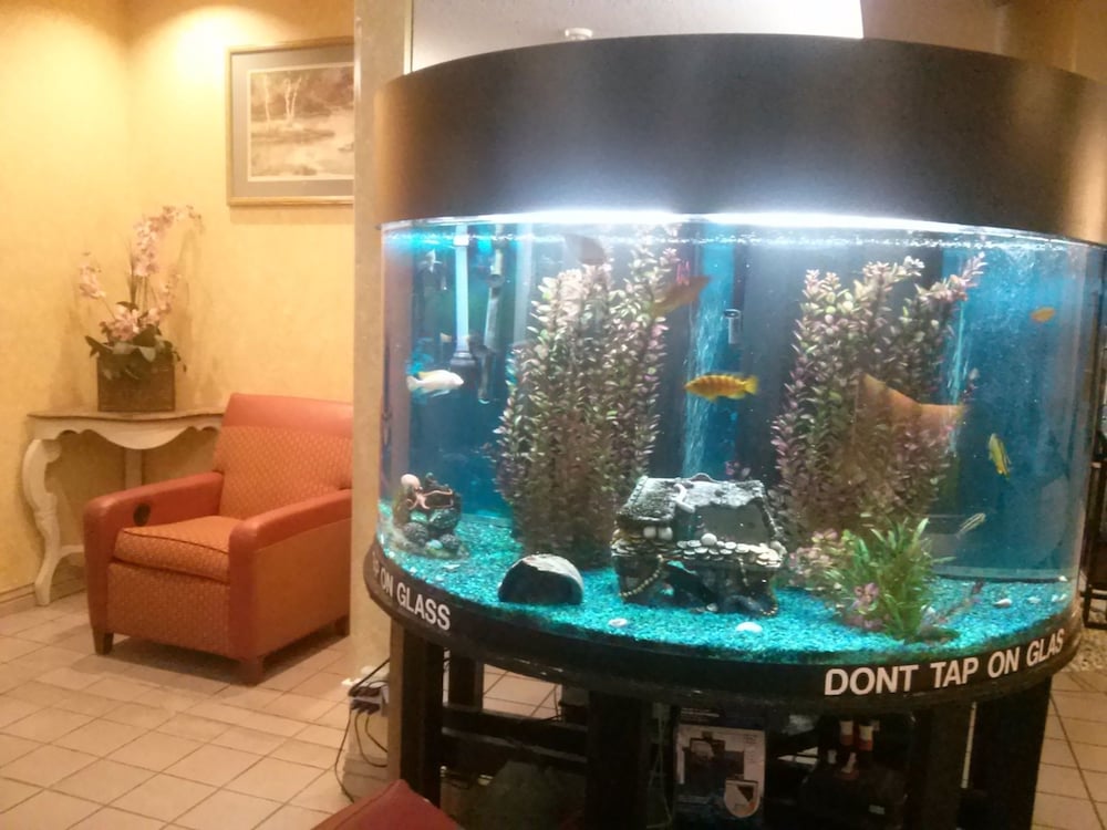 Val U Stay Inn and Suites - featured photo