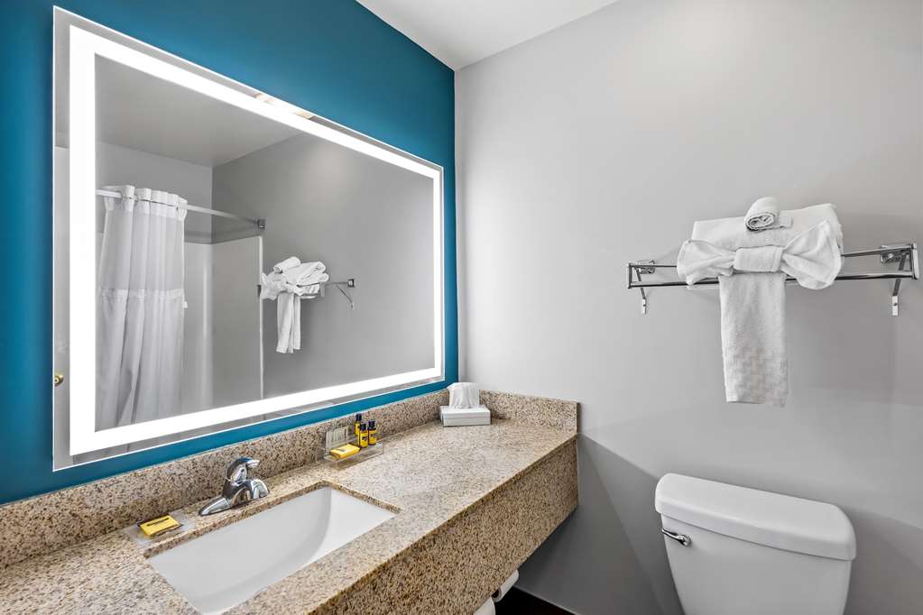 Best Western Fort Wayne Inn & Suites North - photo 32