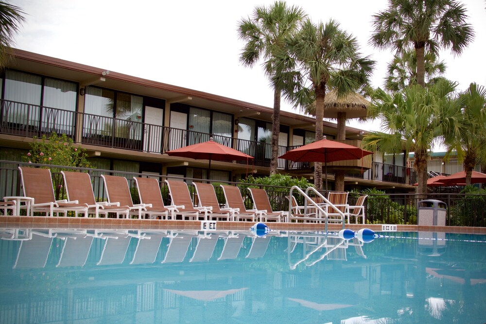 Magic Tree Resort by Coolvacay - photo 30