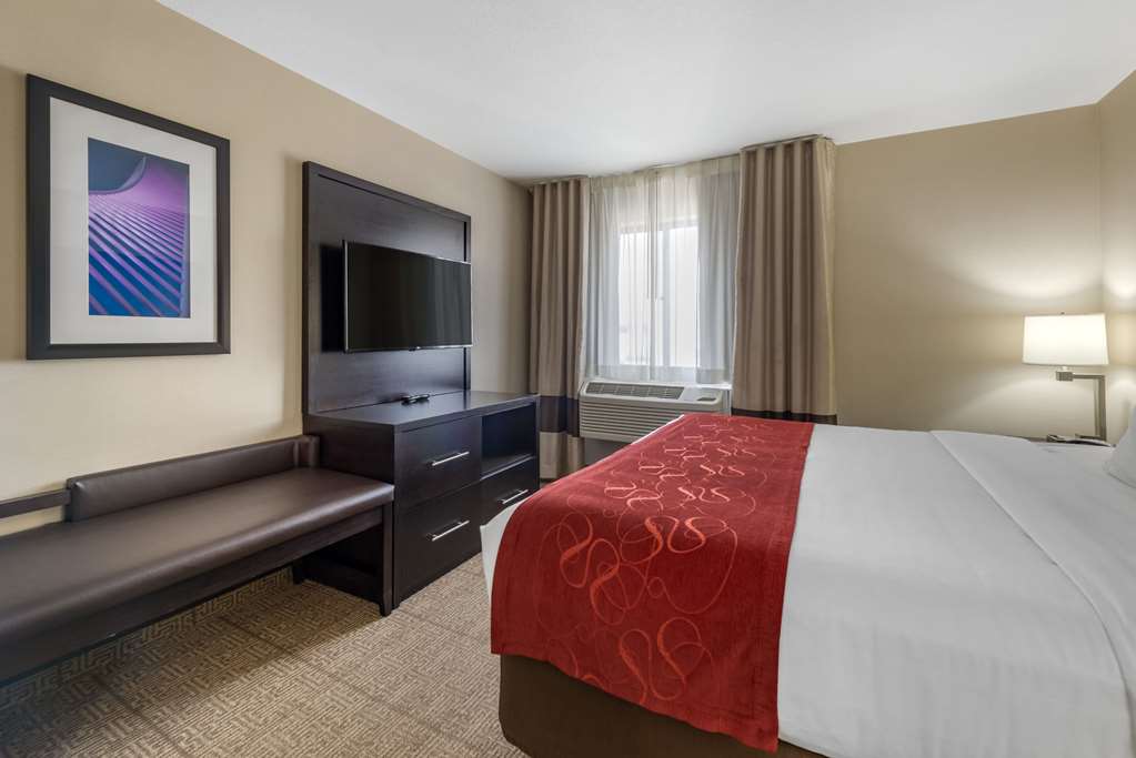 Comfort Suites Highlands Ranch Denver Tech Center Area - photo 18