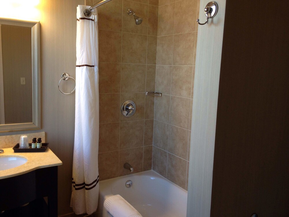 EnVision Hotel Boston - photo 28