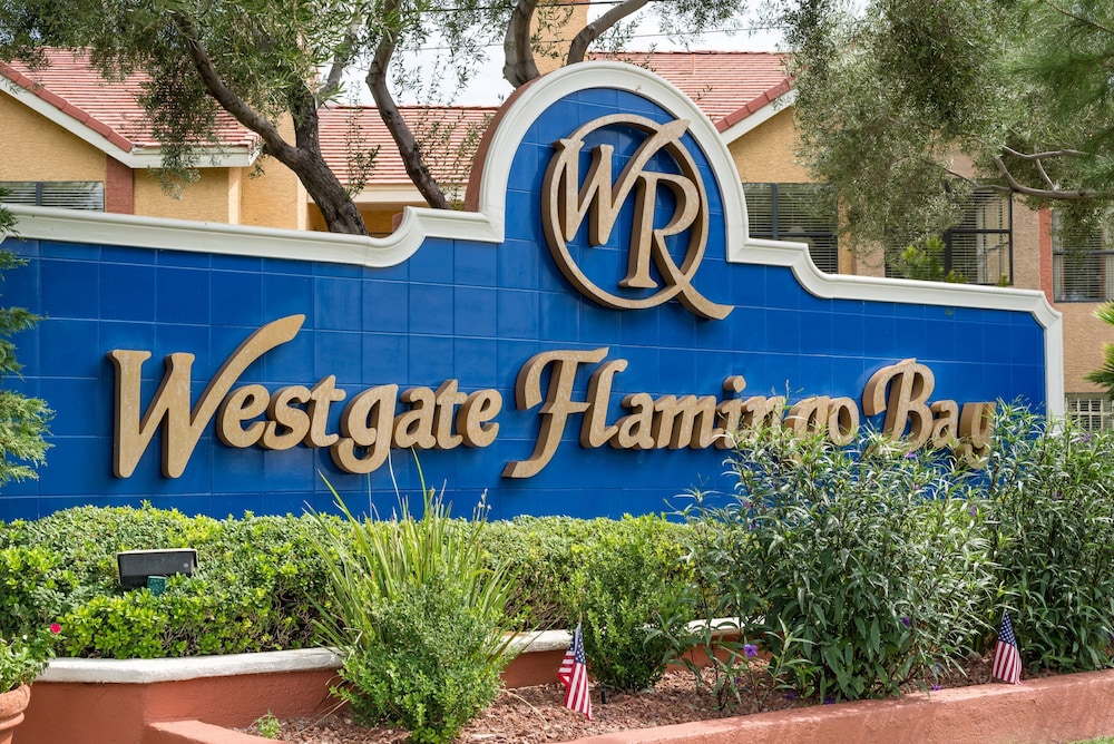 Westgate Flamingo Bay Resort - photo 56