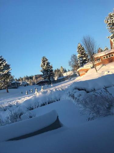 Rekkehus til leie for ski VM 2025 I nærheten av VM arenaen in Trondheim, Norway