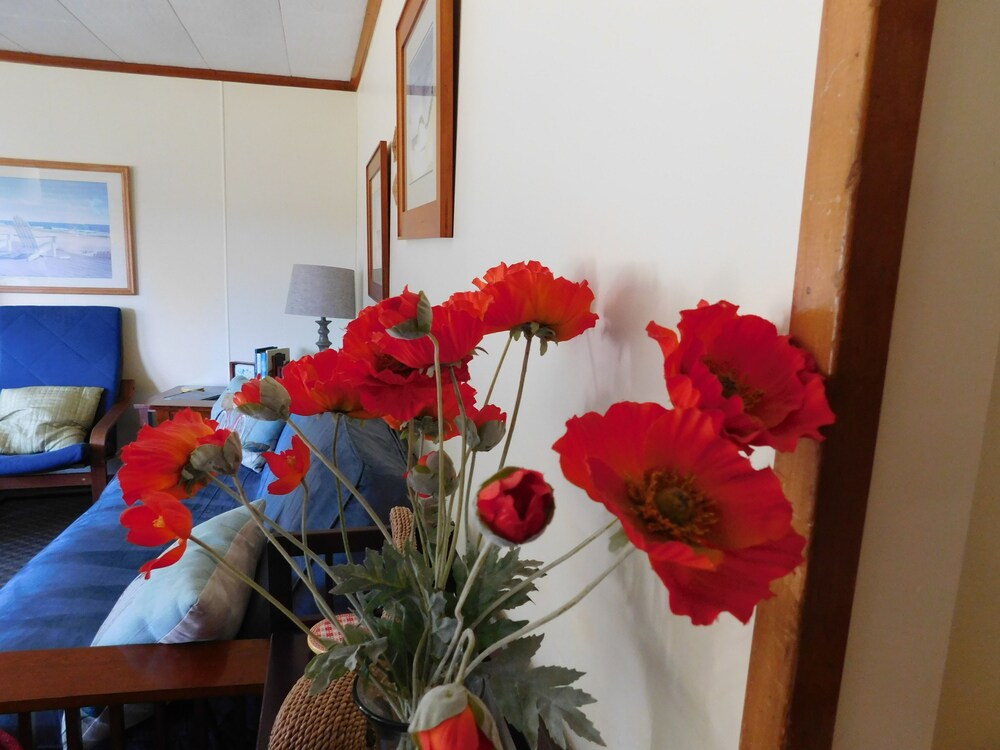 The Anchorage Cottages - photo 50