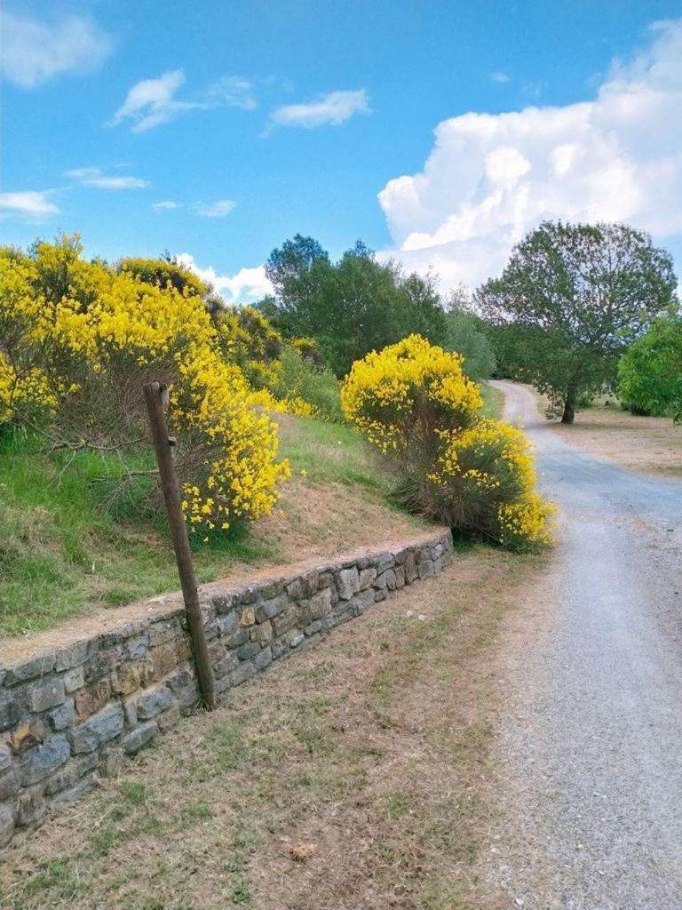 Al Podere Del Nonno Romolo — Sansepolcro