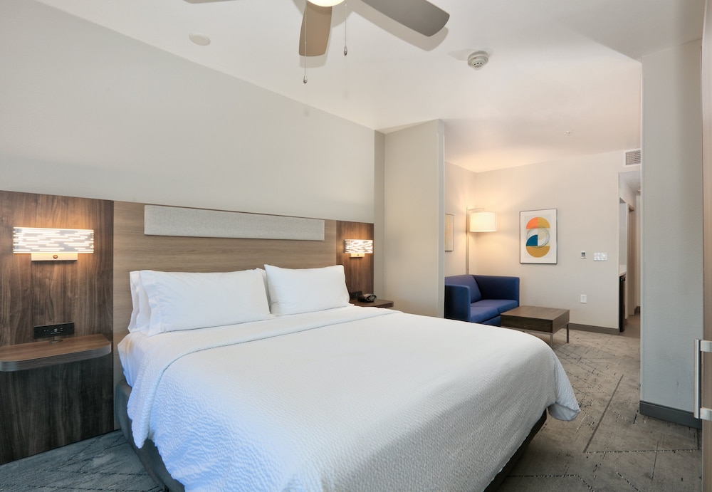Holiday Inn Express & Suites North Dallas at Preston by IHG - photo 16