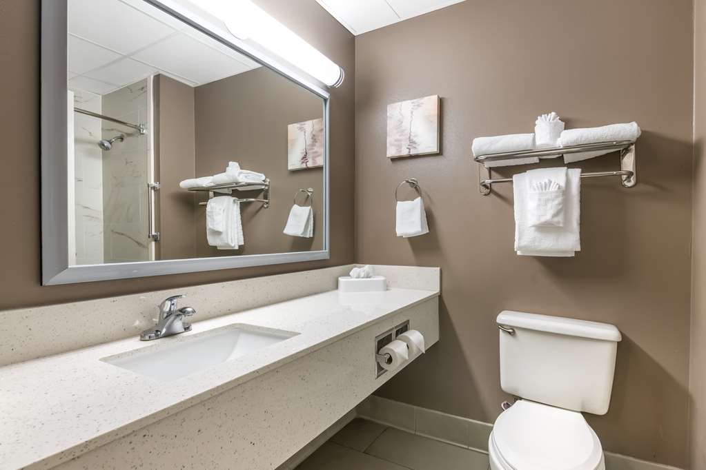Best Western Plus Lake City - photo 35