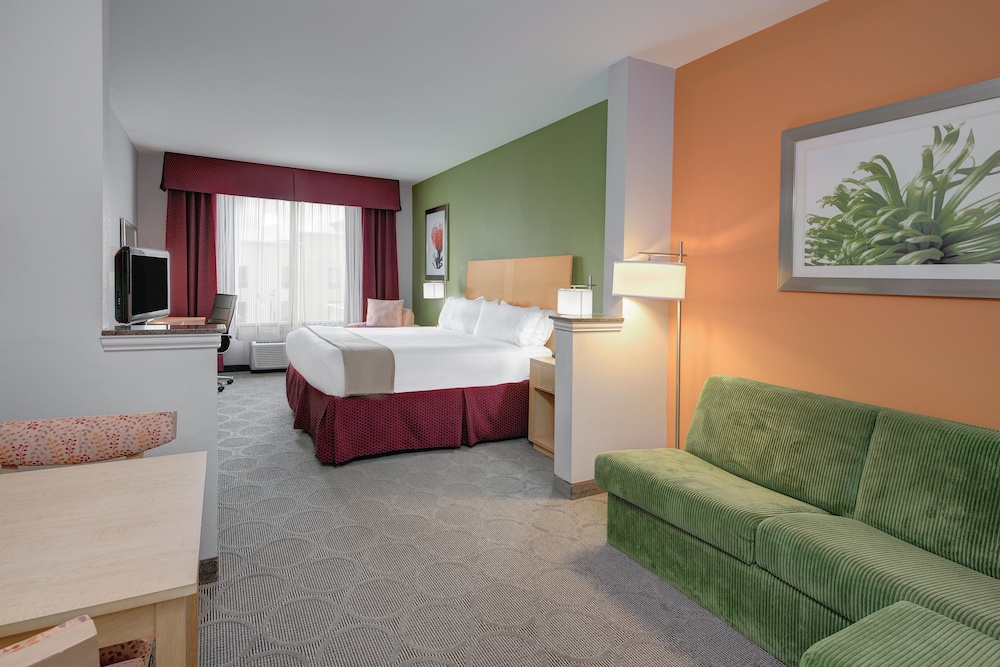 Holiday Inn Express Hotel & Suites Clute Lake Jackson by IHG - photo 3