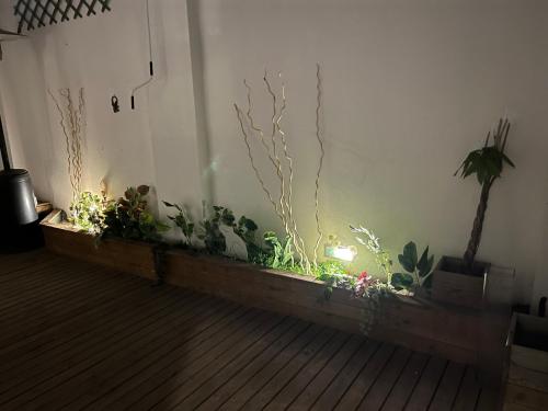 Mi Teja - carbon neutral hotel in Chiclana De La Frontera
