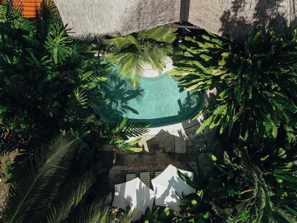 Conga Boutique Hotel in Puerto Viejo De Talamanca, Costa Rica