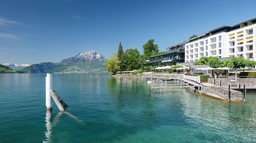 Campus Hotel Hertenstein — Weggis — photo 2