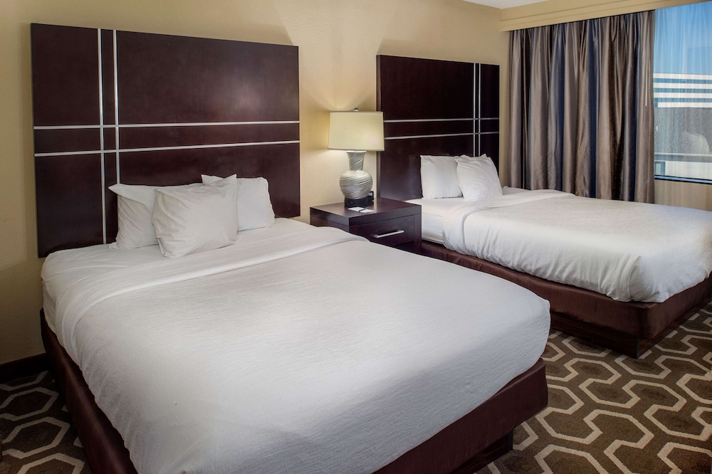 Embassy Suites by Hilton St. Louis Airport - photo 10