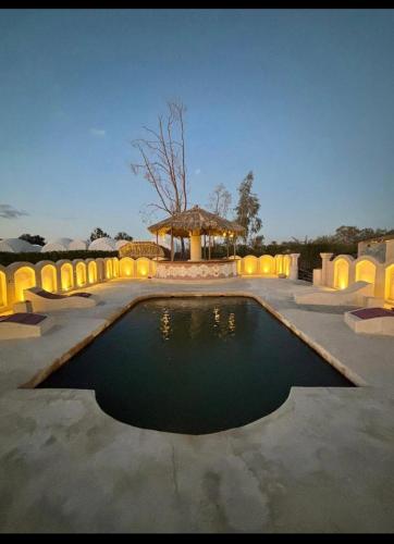 Gazrashek Siwa Hot Spring Trips Haven — Siwa Oasis