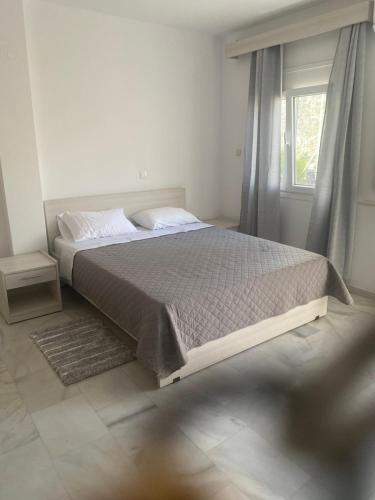 Studio Saroukos — Kalymnos — photo 4