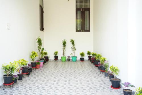 Tranquil Stay in a Beautiful Setting with games — 4-Star Luxury Hotel in Jaipur, India