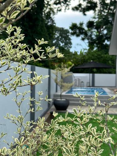 Elyssa_Homes - last minute hotel in Kota Bharu