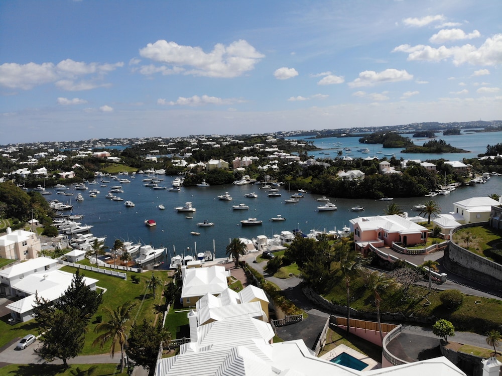 Lemon and Ginger in Hamilton, Bermuda