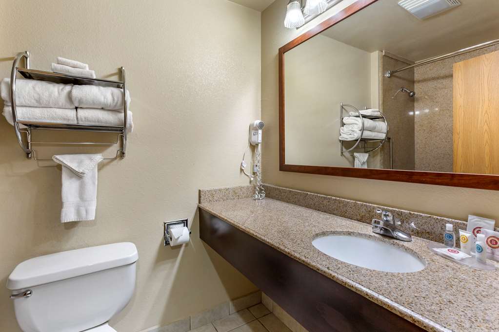 Comfort Inn & Suites Deming - photo 26
