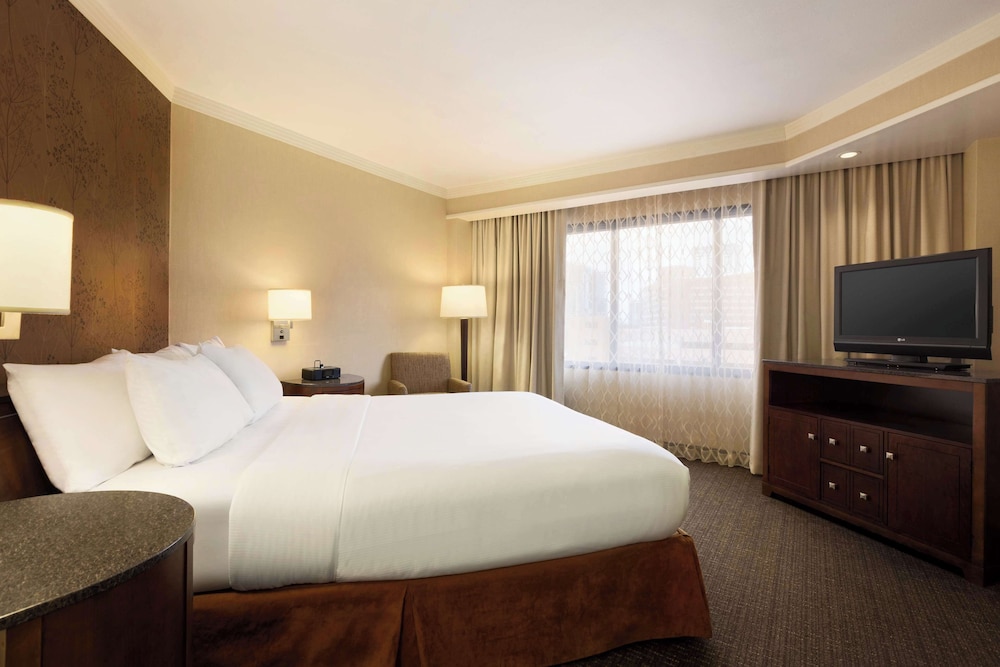 Embassy Suites by Hilton Austin Downtown South Congress - photo 45