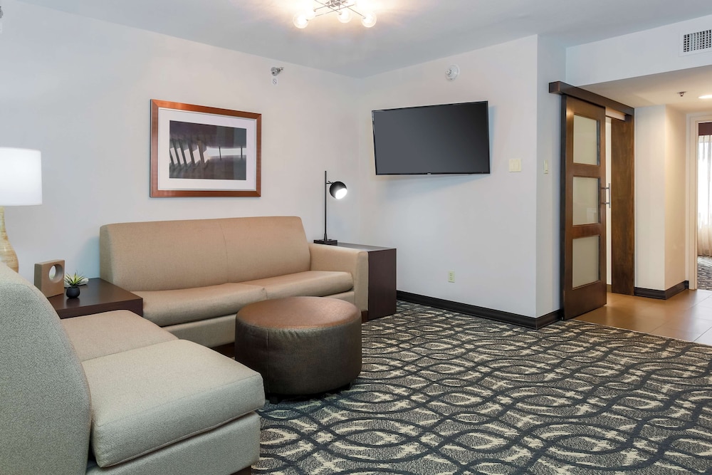 Embassy Suites by Hilton Dallas Love Field - photo 13