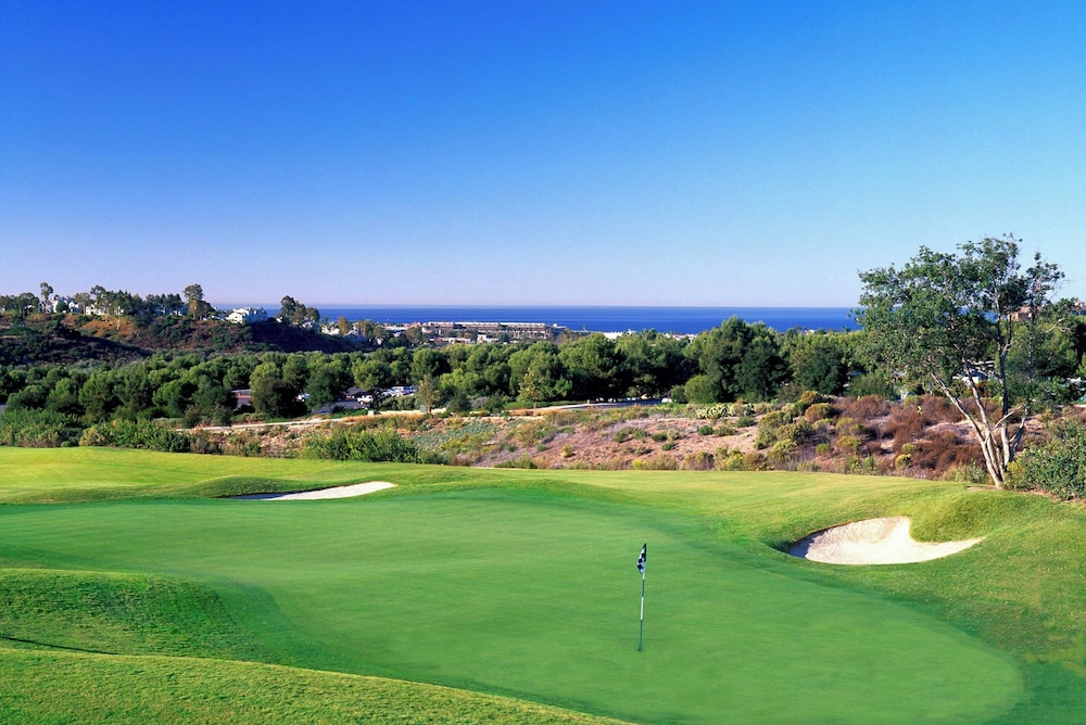 Westin Carlsbad Resort & Spa - photo 67