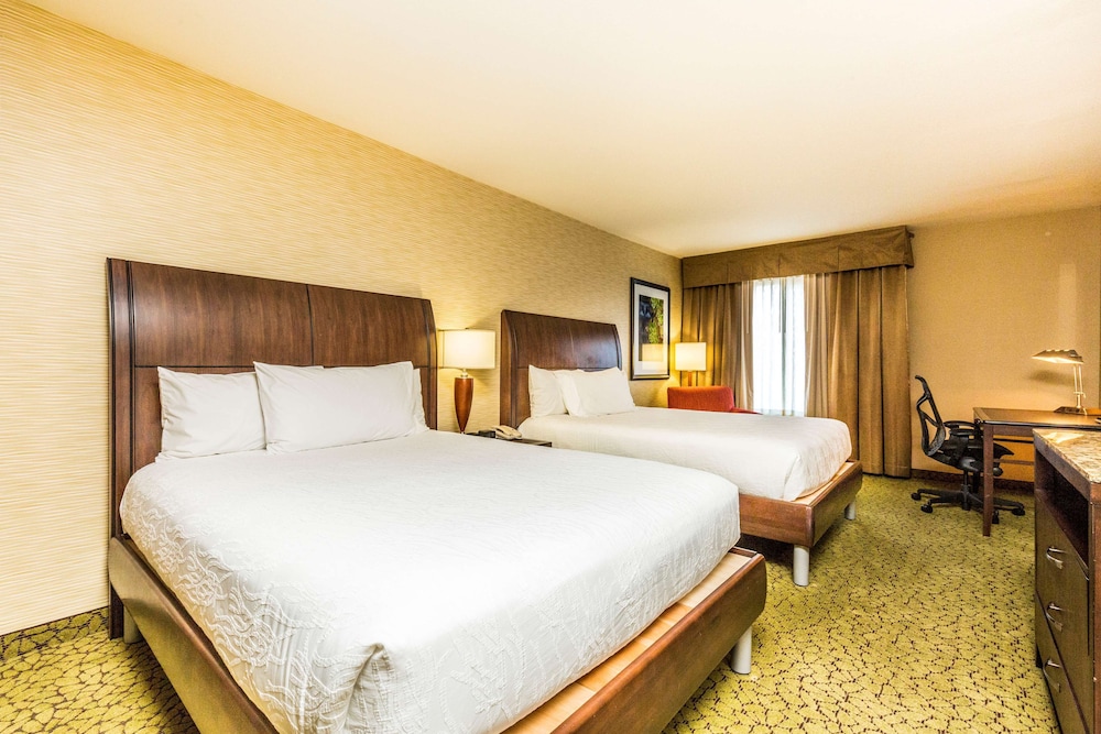 Hilton Garden Inn St. George - photo 17
