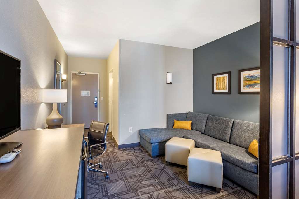 Comfort Inn & Suites Salt Lake City Airport - photo 58