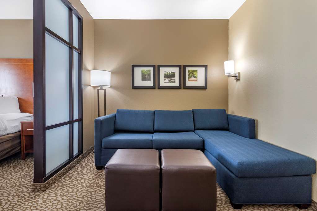 Comfort Suites Florence I 95 - photo 8