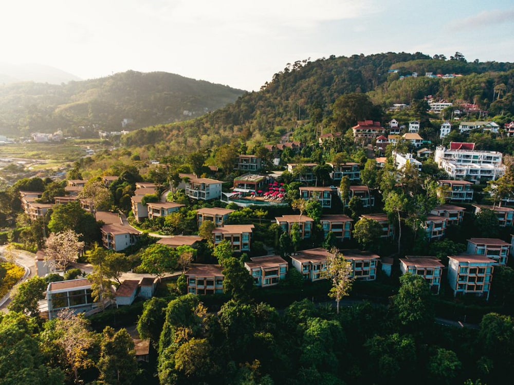 מראה חיצוני