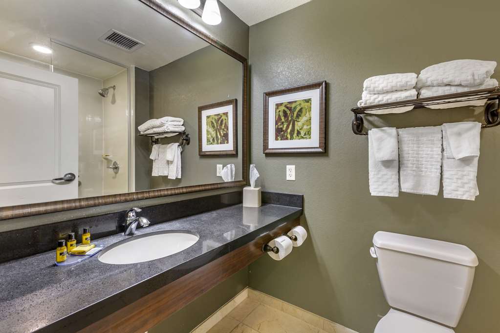 Best Western Plus Chandler Hotel & Suites - photo 29
