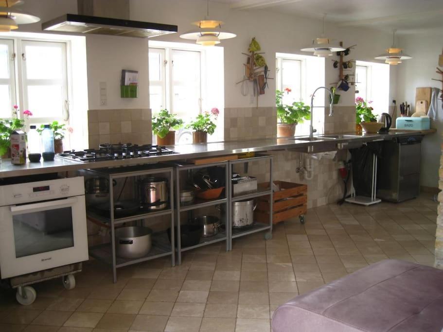 Strandgården på Skarø med færge fra Svendborg in Unknown City, Denmark