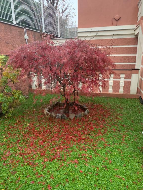 Resort Dependance di Villa Rosa Maria in Savona, Italy