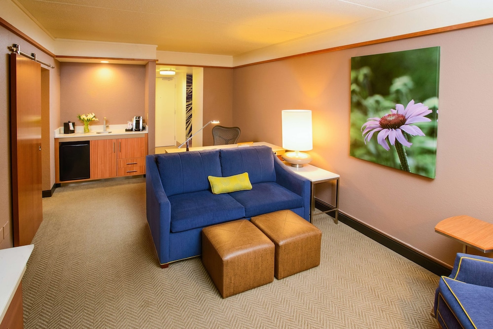 Hilton Garden Inn Rochester Downtown MN - photo 14