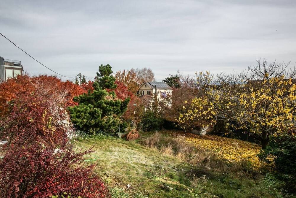 Arboretum View Magnolia - photo 29