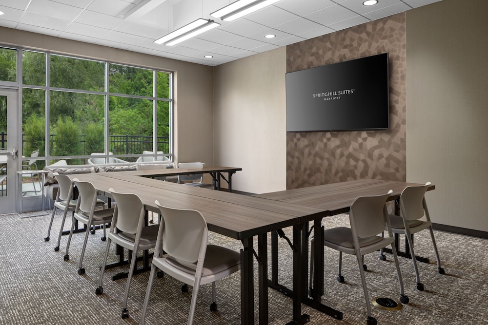 SpringHill Suites by Marriott Kalamazoo Portage - photo 59